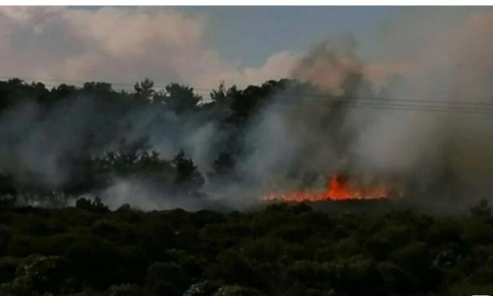 Πυρκαγιά στο Άγιο Όρος